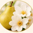 Pera e flores de frésia